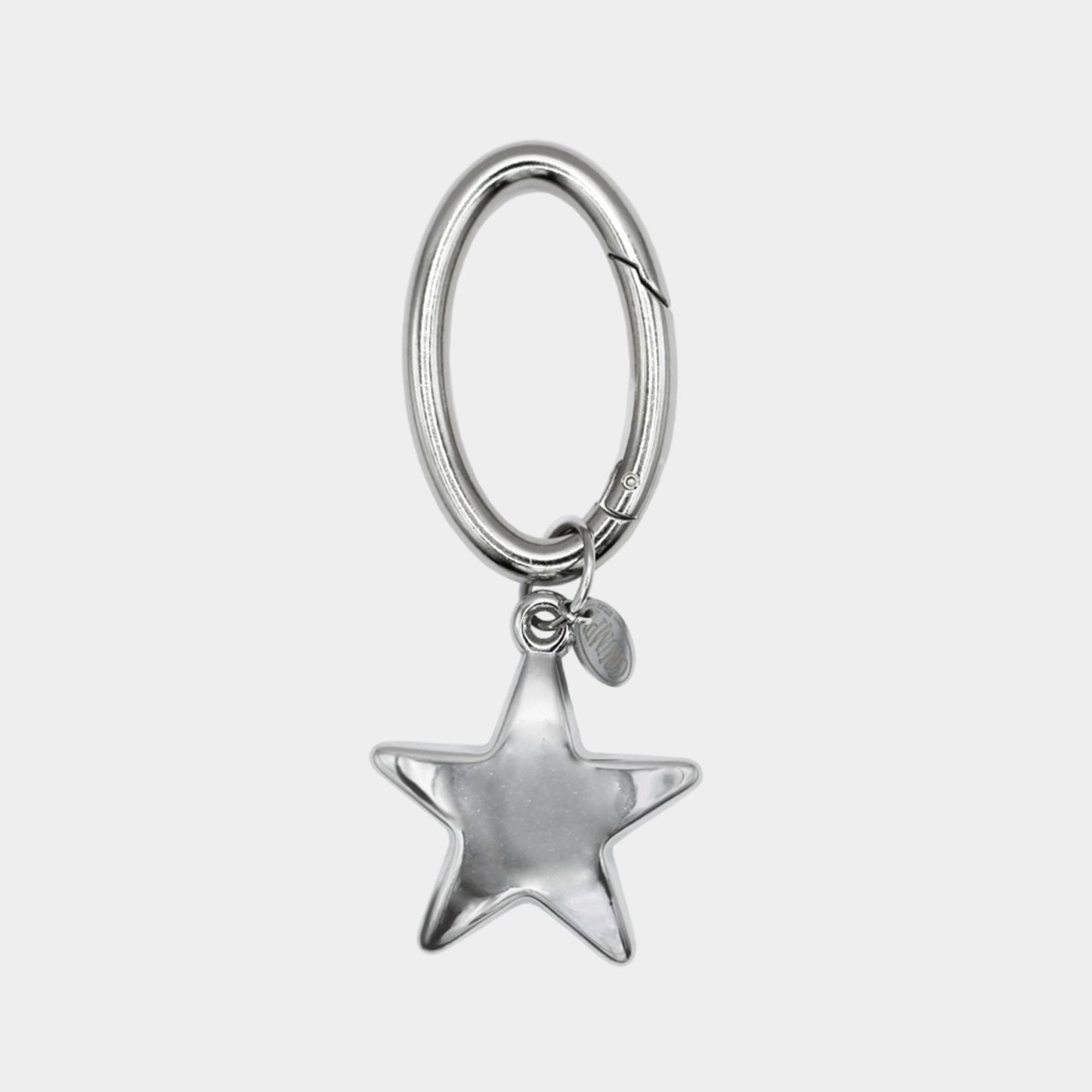 Big Star Karabiner Keychain