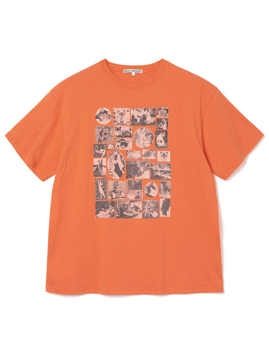 Custom Frame Cat T-Shirts [Orange]