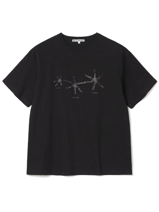Crescendo Faded T-Shirts [Black]