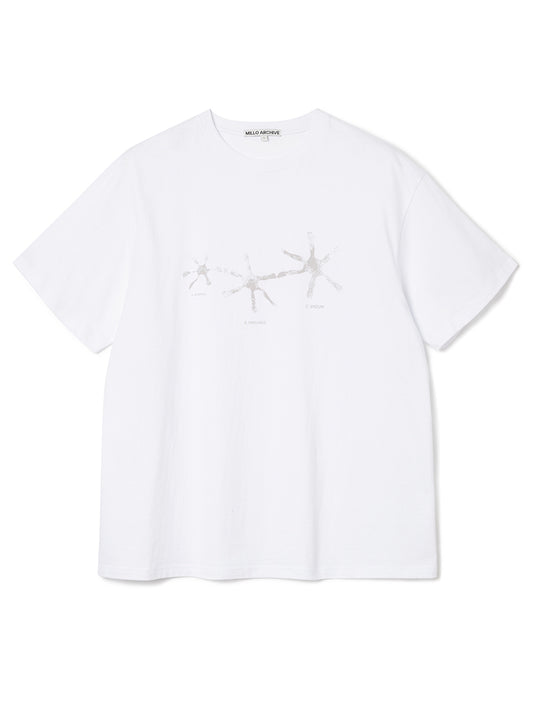 Crescendo Faded T-Shirts [White]
